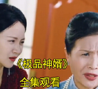 极品神婿林枫陆舒桐短剧大结局是什么
