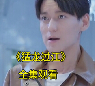 猛龙过江100集全集完整版观看