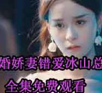 逃婚娇妻错爱冰山总裁陆西衍秦浅全集免费观看