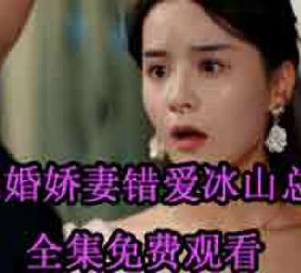 逃婚娇妻错爱冰山总裁陆西衍秦浅网剧免费观看