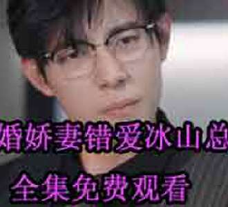 逃婚娇妻错爱冰山总裁电视剧免费观看