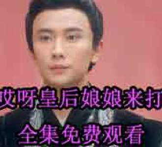 哎呀皇后娘娘来打工霍少霆扮演者是谁