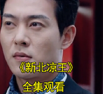 新北凉王陆羽凤救场是第几集
