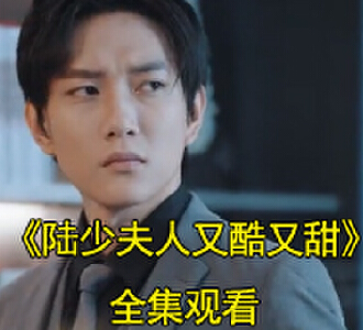 陆少夫人又酷又甜90集全集免费观看