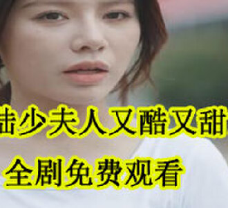 陆少夫人又酷又甜大结局