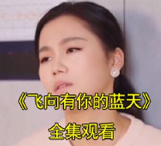 飞向有你的蓝天电视剧合集全集观看