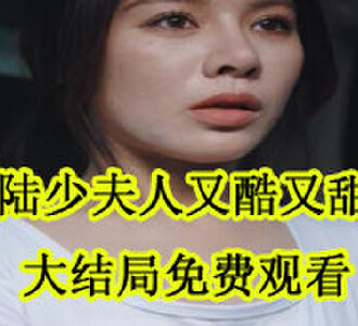 陆少夫人又酷又甜叶晚大结局