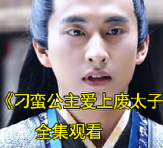 刁蛮公主爱上废太子电视剧在哪看