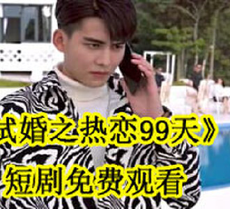 试婚之热恋99天电视剧合集