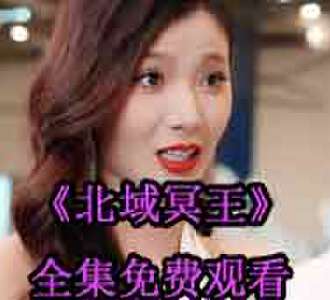 齐晨叶婉凝的小说短剧叫什么