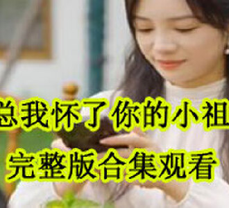 陆总我怀了你的小祖宗完整版合集