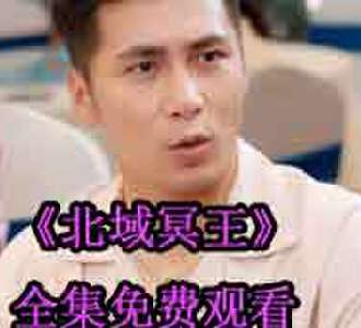 北域冥王齐晨叶婉凝网剧免费观看