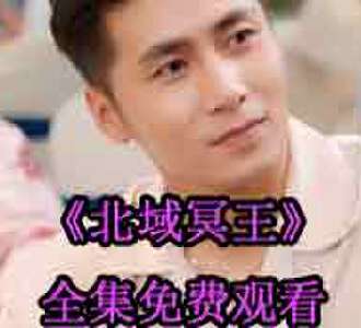 北域冥王齐晨叶婉凝电视剧免费观看