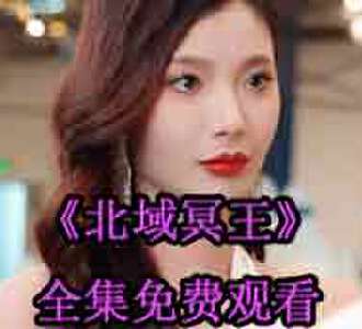 北域冥王齐晨叶婉凝全集免费观看