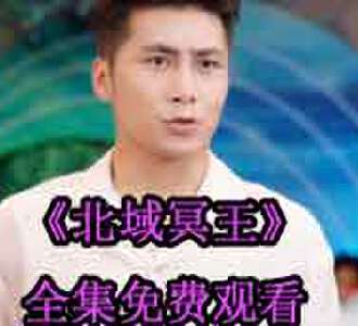 北域冥王齐晨叶婉凝大结局免费观看
