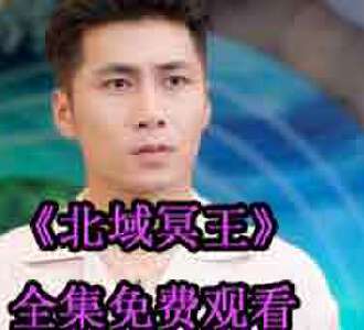 北域冥王齐晨叶婉凝大结局在哪看