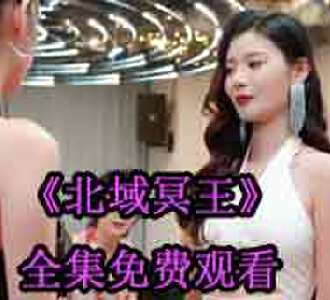 北域冥王齐晨叶婉凝完整版全集免费看