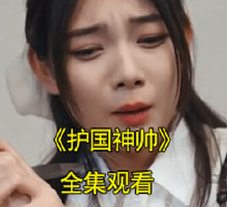 护国神帅叶无道电视剧在线观看