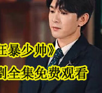 狂暴少帅电视剧后续怎么样