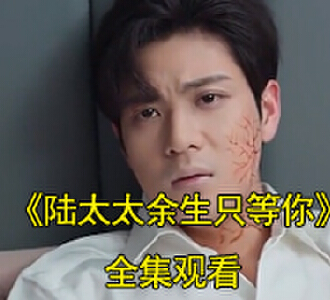陆太太余生只等你顾兮辞陆聿臻电视剧大结局是什么