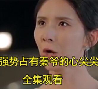 楚鱼秦宴辞电视剧名字叫什么