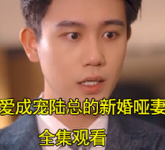虐爱成宠陆总的新婚哑妻第12集在线观看