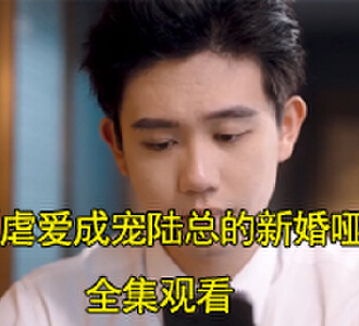 江澜陆竟池小说短剧名字是什么