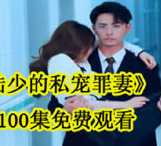 陆少的私宠罪妻1-100集免费观看