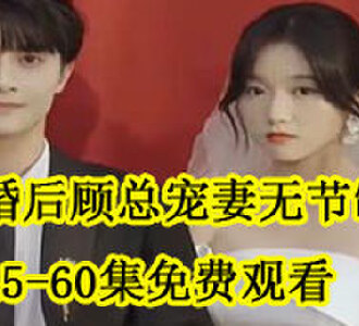 闪婚后顾总宠妻无节制45-60集免费观看