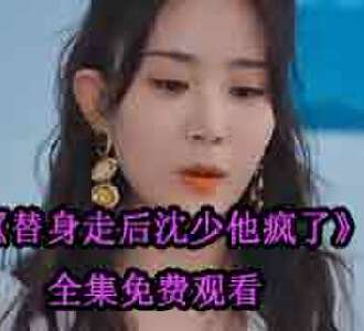 替身走后沈少他疯了合集完整版在线观看
