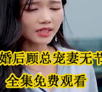 桑榆顾言岑全集免费