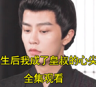 重生后我成了皇叔的心尖宠大结局是什么