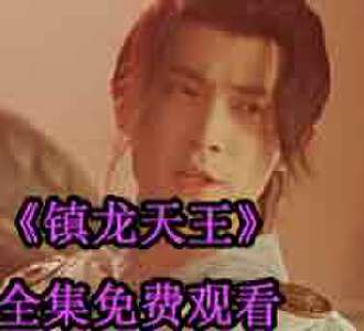 镇龙天王洛阳风晴雪完整版免费看