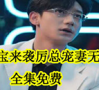 萌宝来袭厉总宠妻无度全集免费