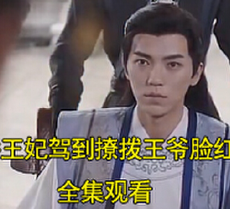 娇娇王妃驾到撩拨王爷脸红心跳96集免费看