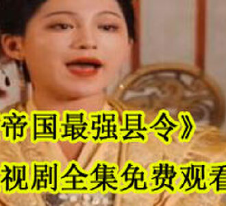 沈靖成为县令后续怎么样