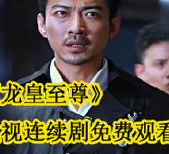 龙皇至尊电视连续剧