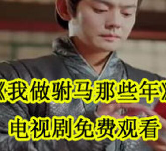 林天穿越成驸马后续怎么样