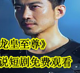 龙皇至尊萧辰苏婉秋小说短剧完结了吗