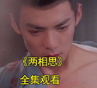 两相思电视剧95集全集免费观看