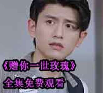 赠你一世玫瑰苏璃安厉陌渊大结局在哪看