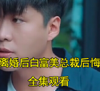 离婚后白富美总裁后悔了叶峰苏晴雪短剧大结局是什么