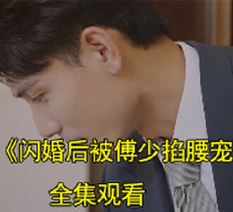 傅司铭陆安安是什么电视剧
