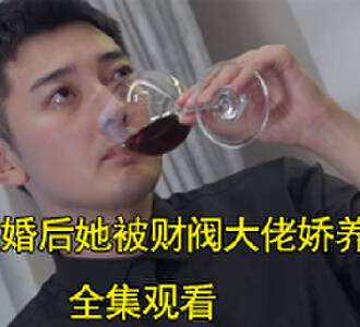 陆擎泽安宁是什么电视剧
