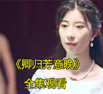 卿归芳意晚90集全集完整版观看