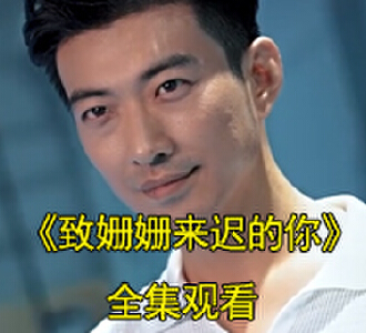 致姗姗来迟的你电视剧后续在哪看