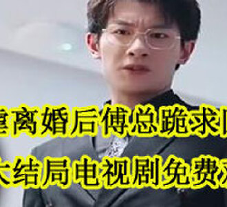 被虐离婚后傅总跪求回头大结局在哪看
