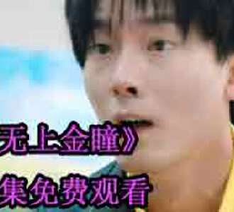 无上金瞳林阳合集免费观看