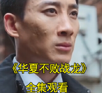 华夏不败战龙1-100集免费看