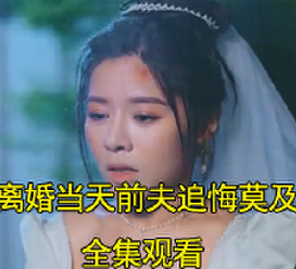 离婚当天前夫追悔莫及全集在线观看